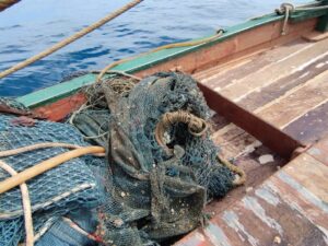 2e947672-77b9-4da4-89a3-672d1de75c34-300x225